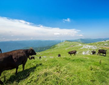 AdobeStock_116362919