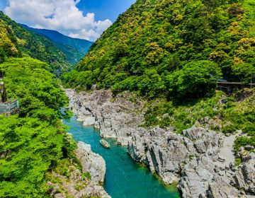 AdobeStock_154426822