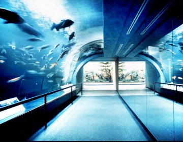 Pasted Graphic 1 (1)